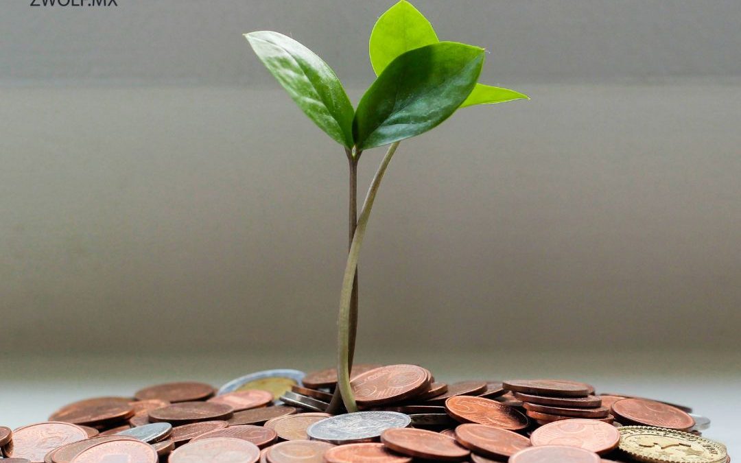 📌 5 señales de que necesitas mejorar tus habilidades de administración